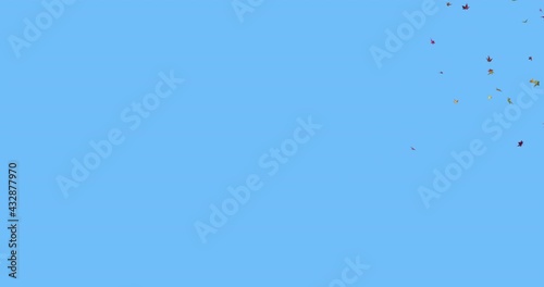 Two separate animations of a group of leaves flying into frame, swirling around in the wind, and exiting the frame. Isolated over a solid blue background for easy keying and compositing. photo