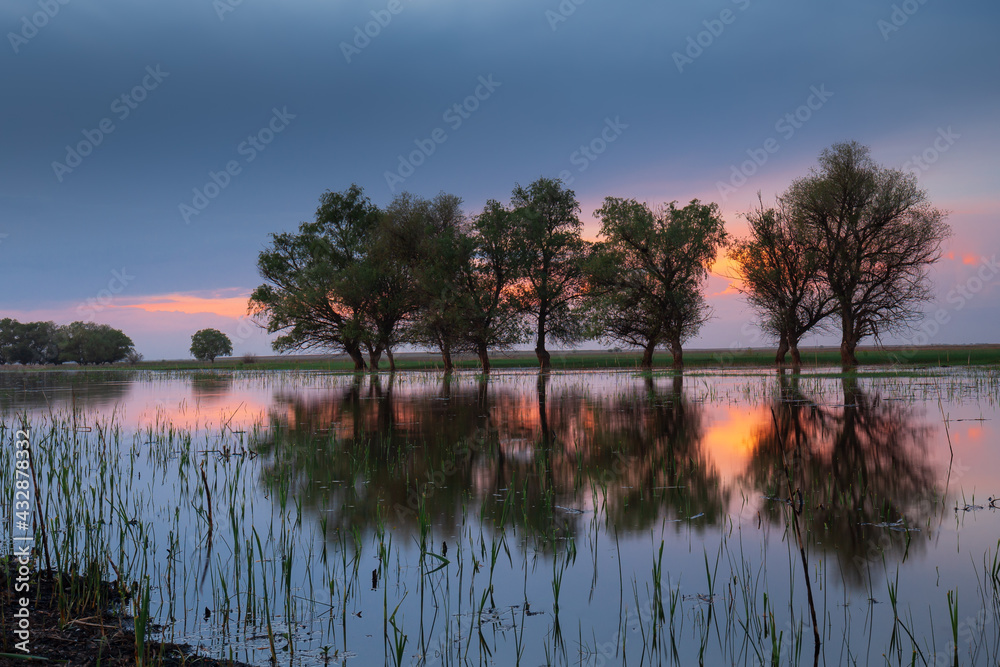 Sunset landscape with colorful sky and water reflection featuring a group of deciduous trees on a thin strip of land surrounded by water