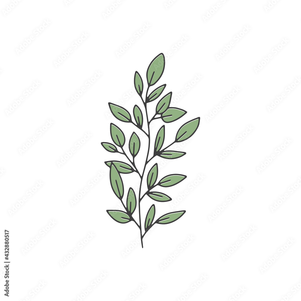 Fototapeta premium Single vector herbal element on white background. Colorful doodle illustration for design.
