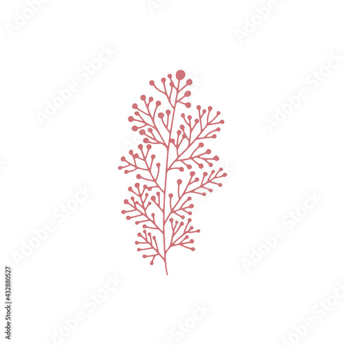 Single vector red herbal element on white background. Colorful doodle illustration for design.