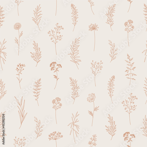 Wildflowers seamless pattern, floral vector illustration. Elegant print, thin line, modern style design. Midsummer meadow herbs and flowers. Nature background for fabric, package, wrapping, prints.