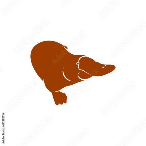 Platypus design vector illustration, Creative Platypus logo design concept template, symbols icons