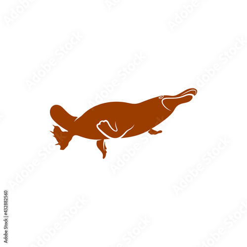 Platypus design vector illustration  Creative Platypus logo design concept template  symbols icons