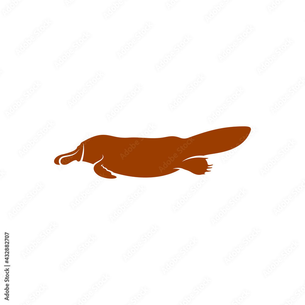 Platypus design vector illustration, Creative Platypus logo design concept template, symbols icons Platypus design vector illustration, Creative Platypus logo design concept template, symbols icons