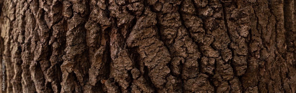 High-resolution panoramic texture of a close-up of the bark of a pine tree. Wooden background to product placement, perfect natural canvas. Brown colour.