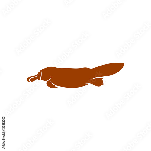 Platypus design vector illustration, Creative Platypus logo design concept template, symbols icons photo