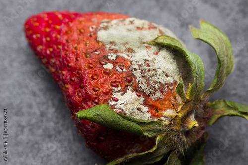 Rotten strawberries isolated on white background