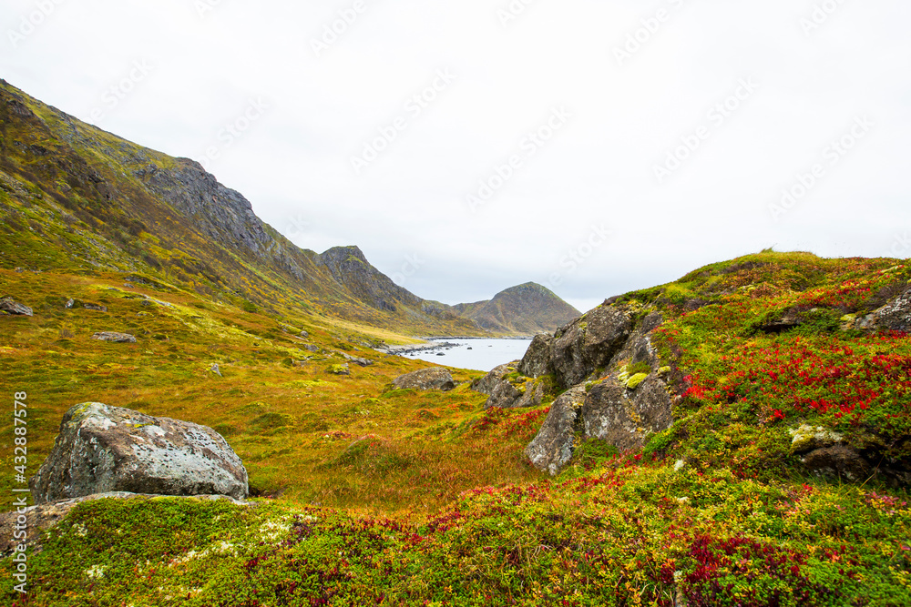 Autumn landscape and beach in Lofoten Islands, Northern Norway