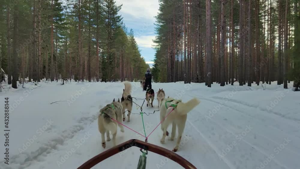 Vidéo Stock A 4K footage of husky dogs dragging a wooden sled through ...