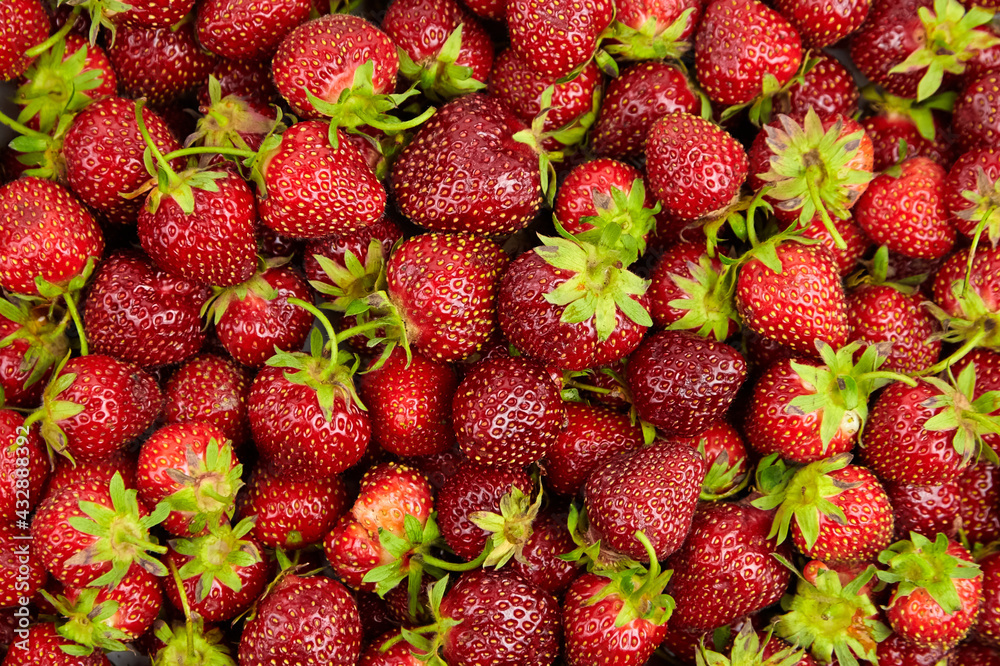 Strawberry red berries background top view Strawberry red berries background top view