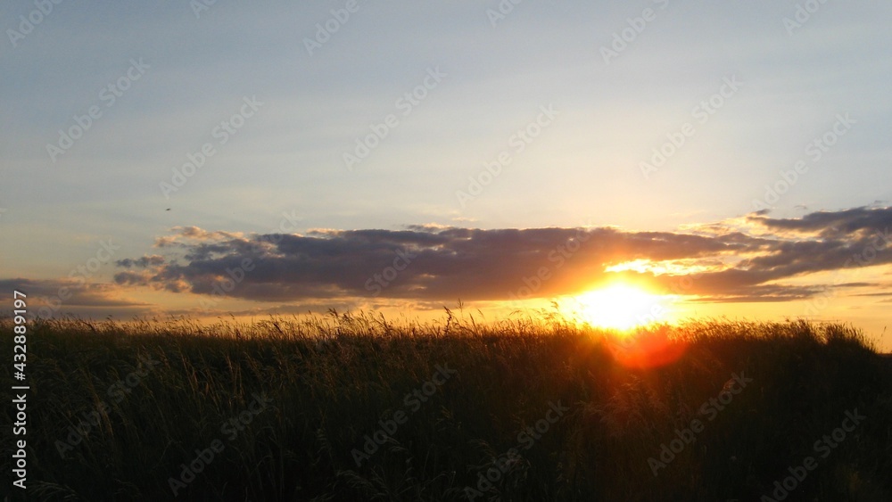 Sunset over the field