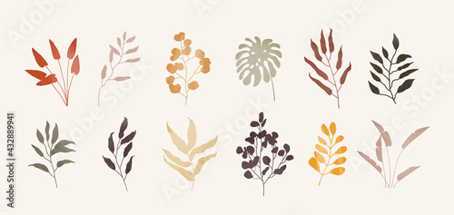 Set of trendy plants with different textures illustration in natural colors