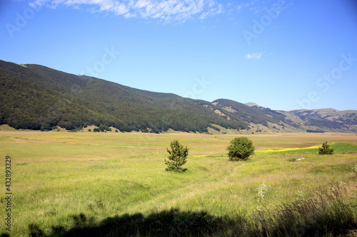 Small trees in the plateau (Piano delle Cinquemiglia) and view on the chain of tree-lined mountains, Abruzzo, Italy