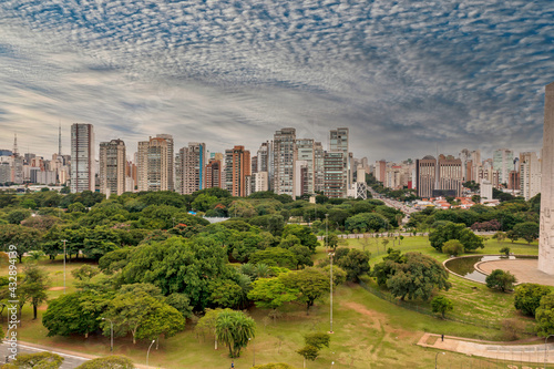 Foto aerea de S  o Paulo  muitas arvores e a megalopole ao fundo