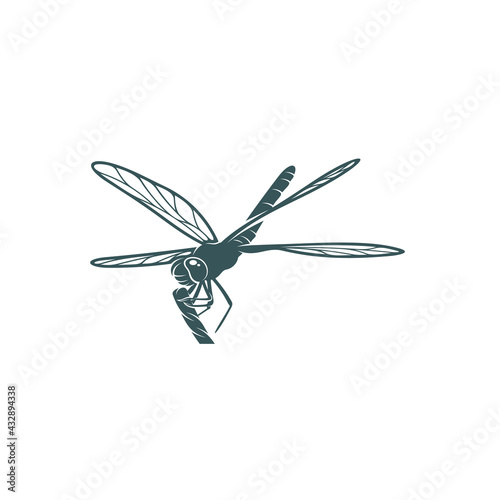 Dragonfly design vector illustration, Creative Dragonfly logo design concept template, symbols icons