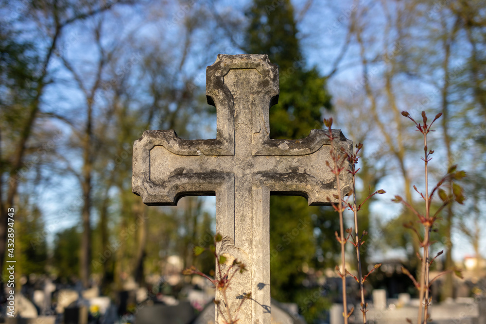 a stone cross among the trees, beautiful christian cross in an old forgotten cemetery, resting place a stone cross among the trees, beautiful christian cross in an old forgotten cemetery, resting place