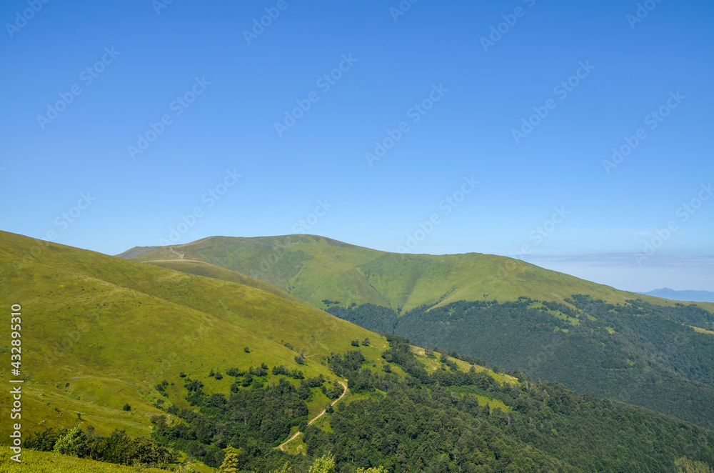 Fototapeta premium Panoramic view of the Carpathian mountains, green forests and meadow in summer sunny day. Ukraine