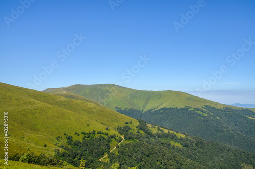 Panoramic view of the Carpathian mountains, green forests and meadow in summer sunny day. Ukraine © Dmytro