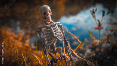 skeleton in the woods