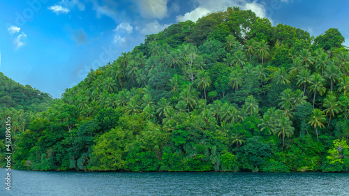 Advertising, Travel, Vacation and Holiday Concept - Lots of coconut tree in the beautiful paradise