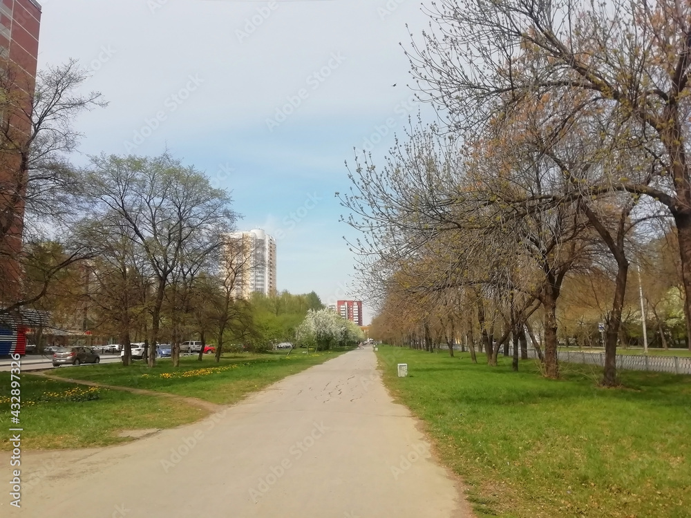 Green park on spring time. Photo with copy space. Road in the park in Ekaterinburg, Russia Green park on spring time. Photo with copy space. Road in the park in Ekaterinburg, Russia