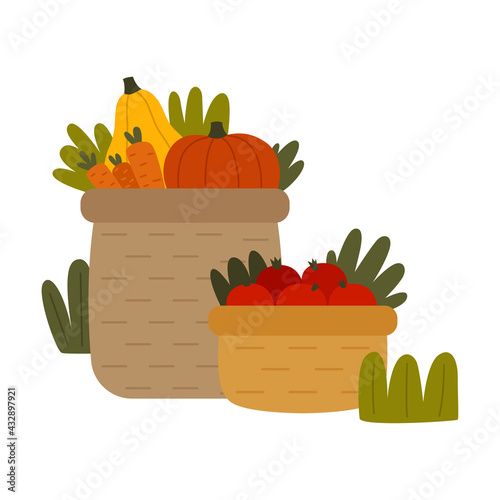 Ripe Vegetables Rested in Basket as Seasonal Harvesting and Yield Vector Illustration
