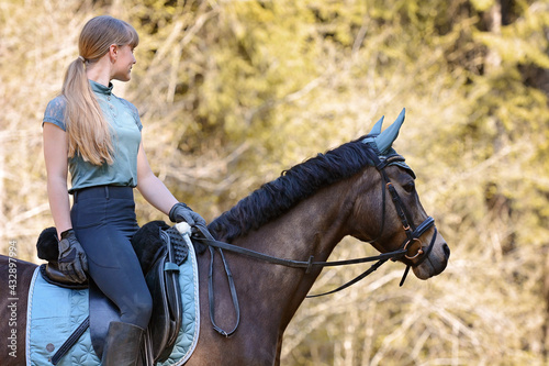 Reiterin mit Pferd im Gelände