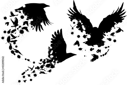 three flying crows from birds and blots isolated on white