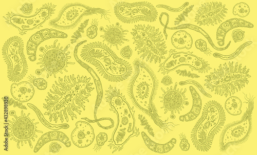 Microbes. Design set. Hand drawn engraving. Editable vector vintage illustration. Isolated on light background. 8 EPS