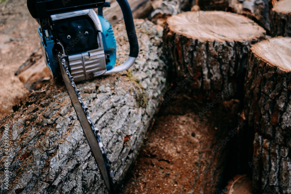 Fototapeta premium Chainsaw