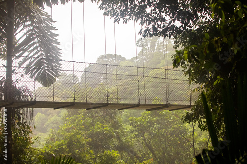 Mistico Arenal Hanging Bridges Park