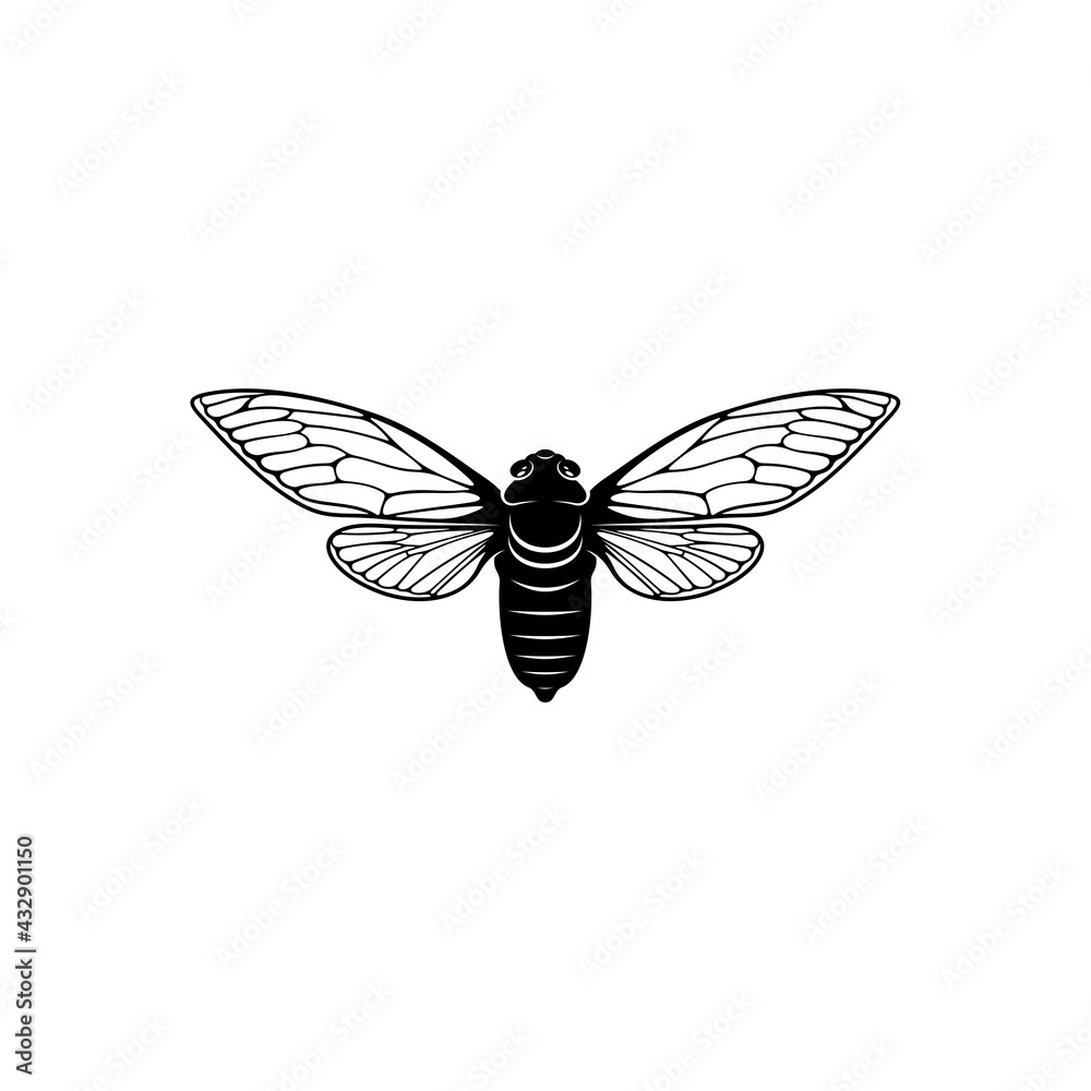 Obraz premium Cicada design vector illustration, Creative Cicada logo design concept template, symbols icons