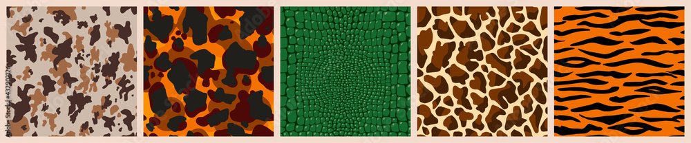 Tortoise Shell Pattern Background