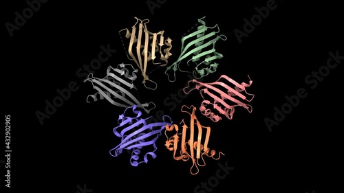 Crystal structure of the human CaMKII-alpha hub, animated 3D cartoon and Gaussian surface models with the differentially colored protein chains, black background photo