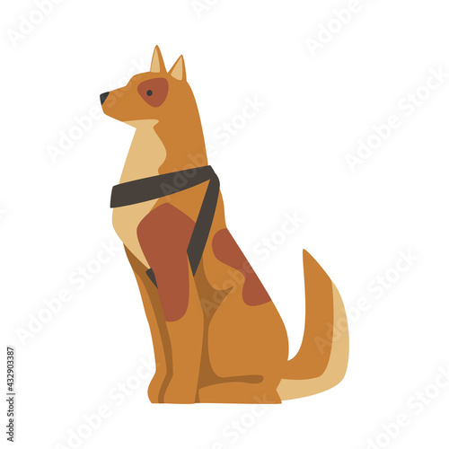Seeing Eye Dog, Specially Trained Guide Pet Animal Cartoon Vector Illustration