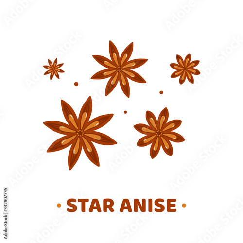 Set, collection of cute cartoon style star anise icons, illustration.