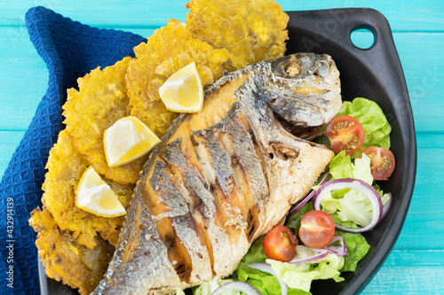 Canvas Print Fried fish with salad and patacones on a blue background
