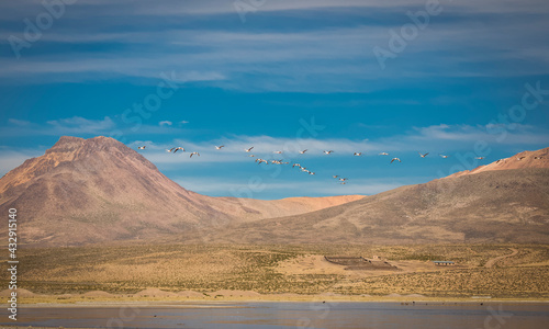 Vilacota Maure National Park, Tacna - Peru