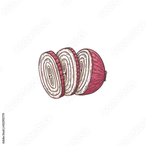 Red onion sliced into rings - cartoon vegetable drawing, isolated