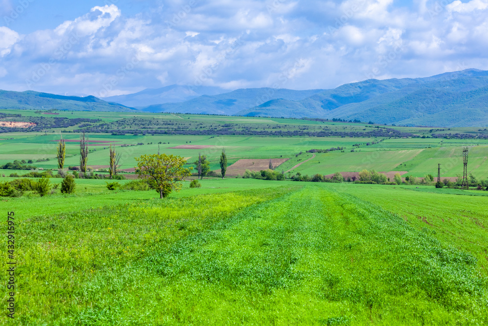 View of agricultural fields, Kartli region, Georgia View of agricultural fields, Kartli region, Georgia