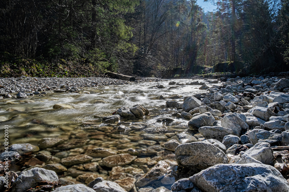 Flowing creek, Velky Sokol gorge, Slovak Paradise national park Flowing creek, Velky Sokol gorge, Slovak Paradise national park