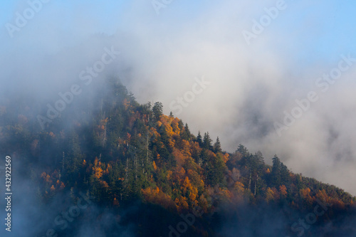 Morning mist of a cloud in the mountains © Allen Penton