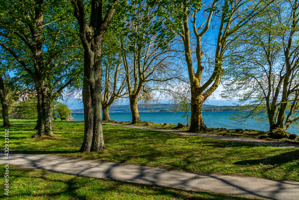 Mettnau Park am Bodensee im Sommer mit Sonne Mettnau Park am Bodensee im Sommer mit Sonne
