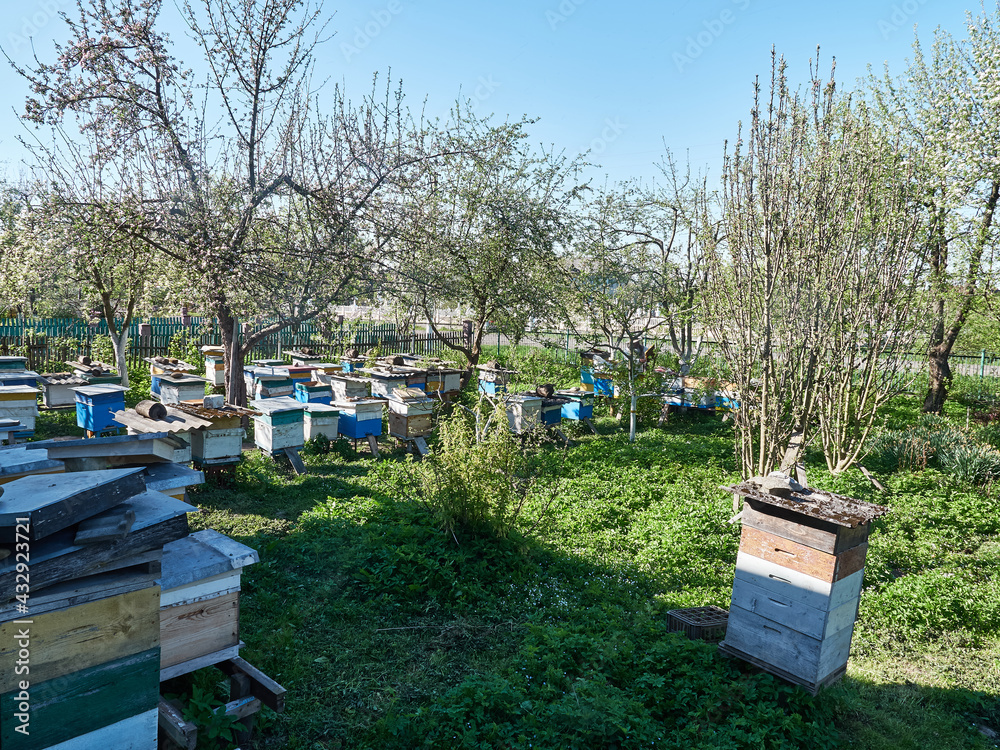 The beekeeper works on a large apiary on a summer sunny day. The beekeeper works on a large apiary on a summer sunny day.