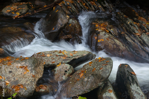 Cascading stream outdoors with rocks