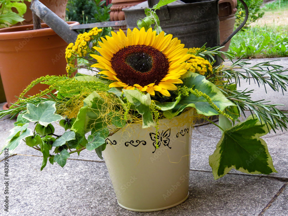 Garten Sommer Sonnenblume Deko Stock Photo