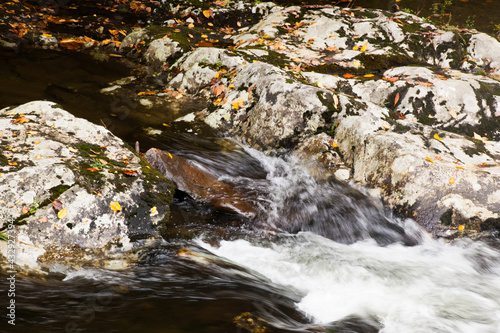 Stream cascading around rocks © Allen Penton