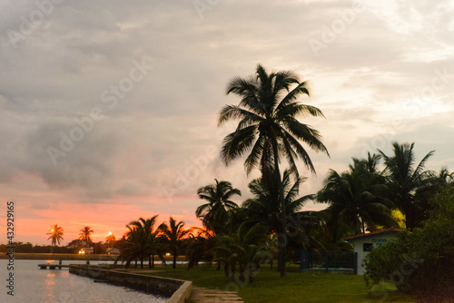 Sunset beach with white sand and tall palms Cuba © Denis Genchikov