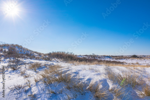 Snowy and ice winter landscape at the Amsterdamse Waterleidingduinen