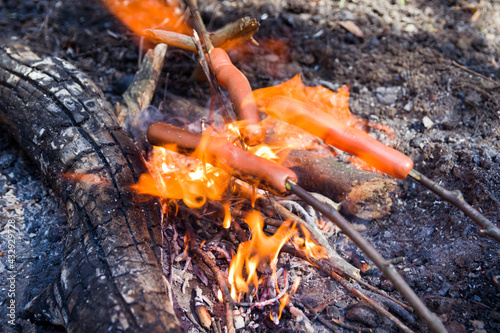 Little picnic with family. Sausages and bread are fried over a small fire. Grilling sausages over a campfire in the forest. Holiday and spring camping in the countryside.